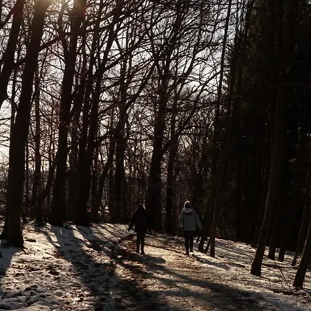 Belle Vue * 马尔梅迪